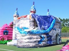 Commercial Cheap Jumping Bouncy Castle King Inflatable Combo