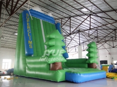 Inflatable Rock Climbing Wall