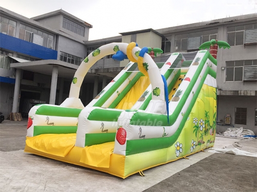 PVC Tarpaulin Cartoon Inflatable Water Slide Dry Slide For Adults or Kids Party or Rental Business