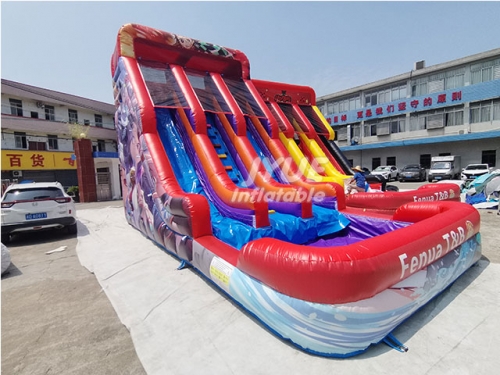 Double Water Slide Inflatable