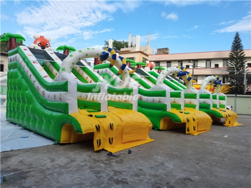 Inflatable Water Slide For Pool