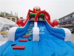 Octopus Small Inflatable Water Slide For Pool