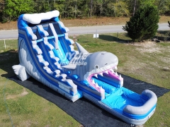 shark water slide Jyue-IWS-001