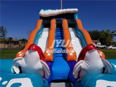 big kahuna water slide for sale Jyue-IWS-048