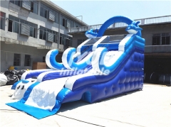 Commercial Inflatable Water Slide Amusement Inflatable Bouncer Castles