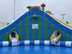 High Quality Frog Inflatable Attraction Water Park for Children and Adult