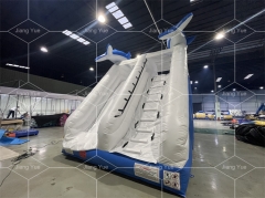 Cheap Price Commercial Waterslide Dolphin Inflatable Water Slide for Inground Pool