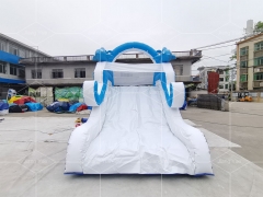 Water Play Equipment Dolphin Inflatable Water Slide for Swimming Pool