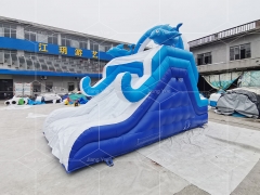 Water Play Equipment Dolphin Inflatable Water Slide for Swimming Pool